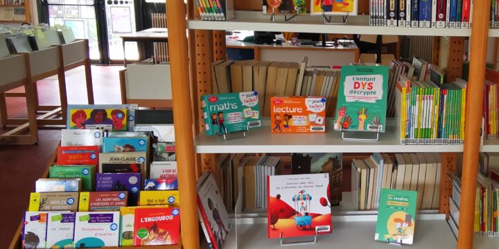 Fonds Dys – Bibliothèque de Migné-Auxances